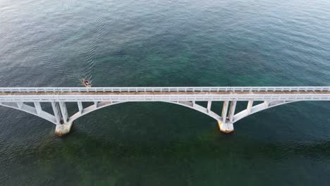 local fishermen passing under the famous bridge of samana, dominican republic while being followed by a seagull.