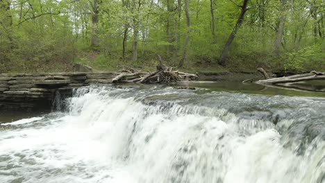 an angled forward moving approach to a small forest river waterfall with an otter dam on in the river