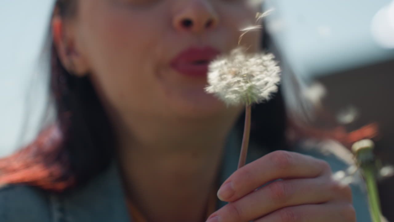 Close up of student gently blowing dandelion while holding stem in hand, lips forming breath with soft blur in background, capturing calm outdoor moment under sunlight in natural setting