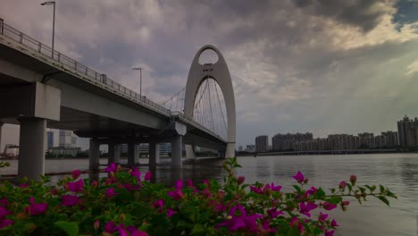 sunny day guangzhou city famous canton tower bridge bay flowers panorama 4k time lapse china
