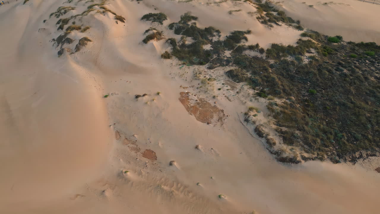 drone desierto de sequía vacío con arbusto verde. dunas de arena esparcidas en terreno seco