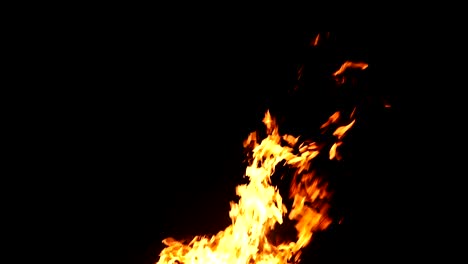el bucle de fuego ardiente. alfa mate de fondo negro. uhd video de stock