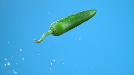 single green jalapeno chili pepper mid-air flying with water droplets