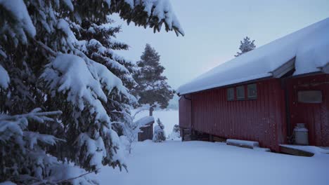 snow covered trees and cabin in indre fosen, norway - wide