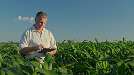 farmer using tablet in corn field