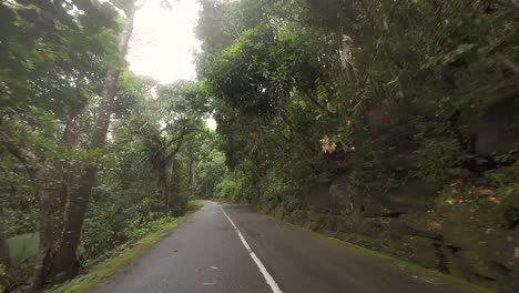 driving through the national park road, dense forest, lush vegetation on mahe island, seychelles 60 fps 12