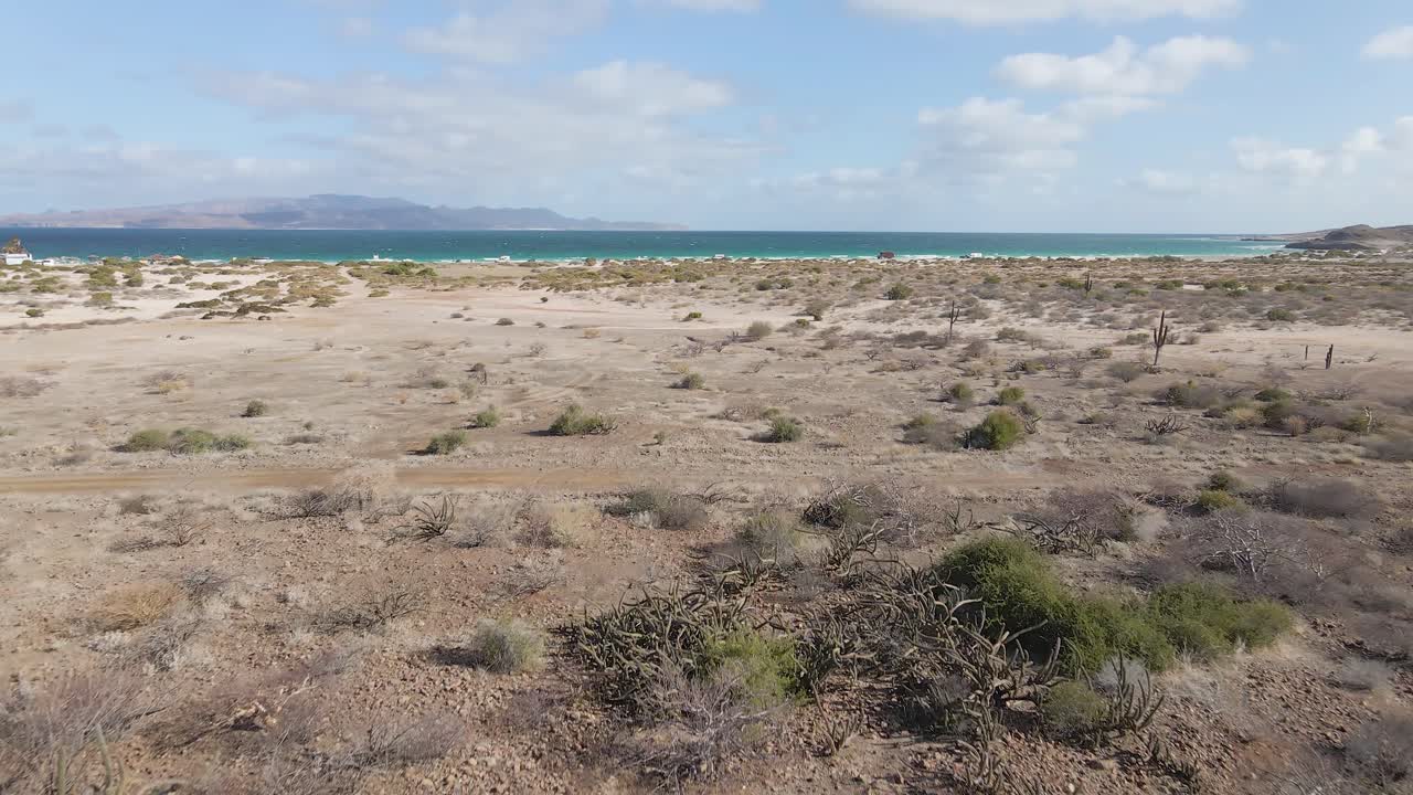 cactus que crecen en el desierto seco, junto a la costa del pacífico, vista aérea