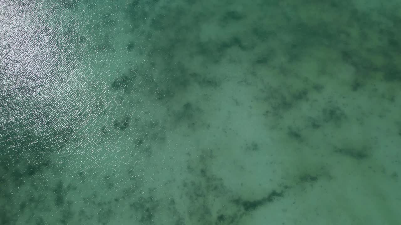 toma aérea de drones aéreos de 4k del golfo de tailandia en koh phangan en tailandia con barcos de pesca, agua verde azulado, coral y selvas verdes
