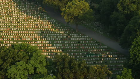 aerial view of a cemetery on a summer morning