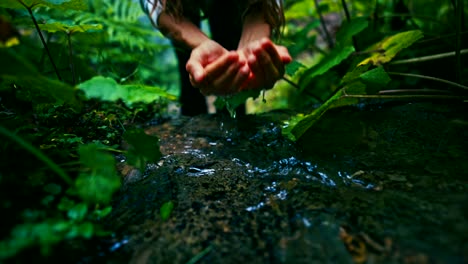 a person reaching her hands into a natural stream in a lush forest. 8k