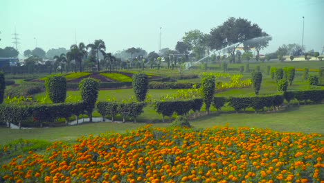 panning up from the marygold flowers in the garden,the impulse sprinkler spraying the garden, traffic is going on roads at the back of the park