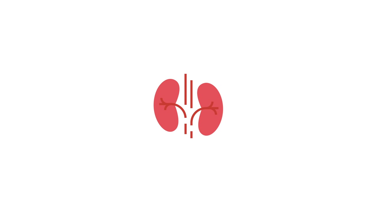 Animated Icon of Human Kidneys with Blood Vessels and Filtration