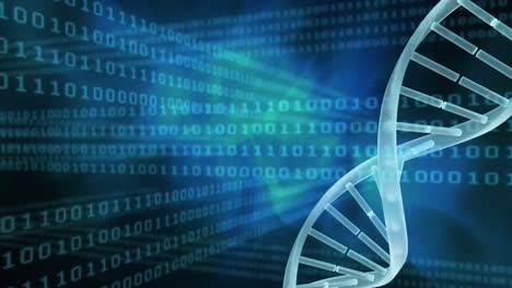 binary code and dna helix