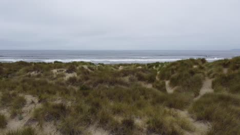 slow reveal drone shot of morro beach in california from the shrub-covered sand dunes behind the beach. filmed on a foggy day along the california coast with a 4k dji drone.