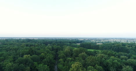 Volando-Sobre-árboles-Forestales-Naturalezaaa-Vistas-Aéreas-1