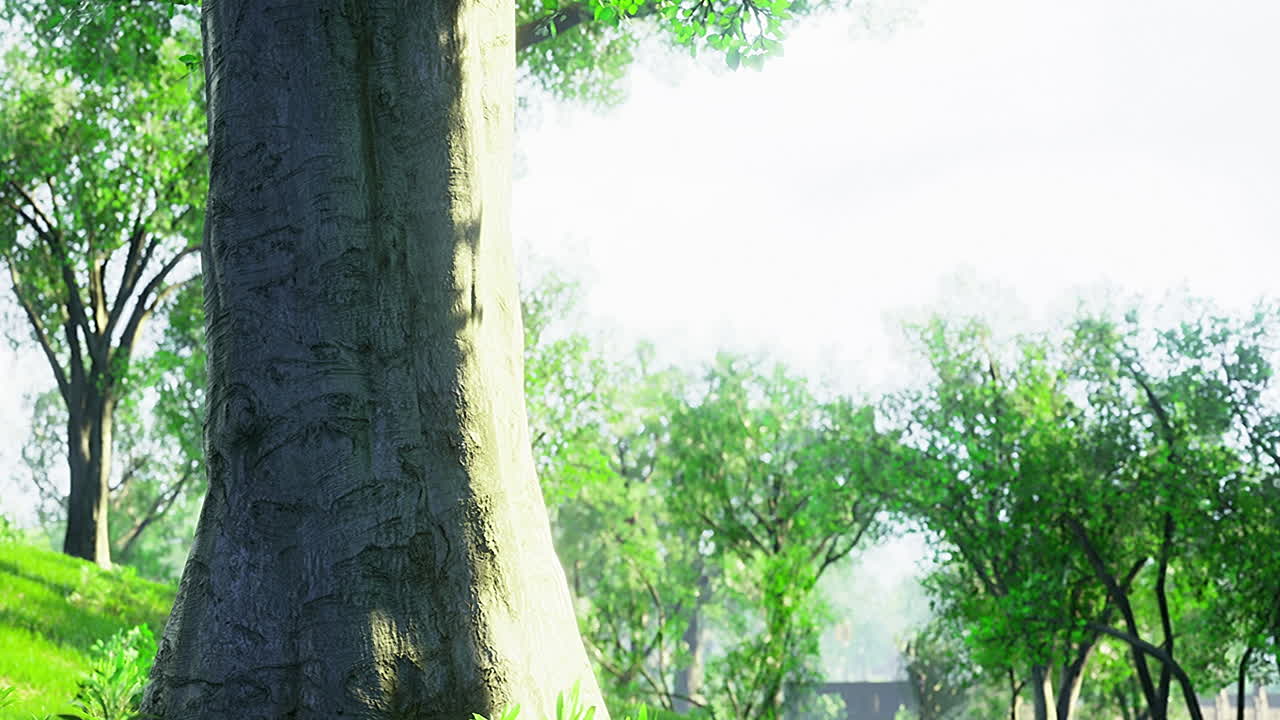 Majestic tree stands tall amidst a lush green landscape on a sunny day