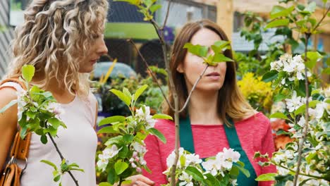 florista interactuando con un cliente