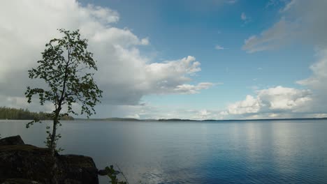 storm cloud cumulus time lapse over nasijarvi lake finland with birch tree foreground