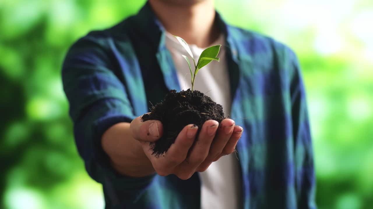close-up de un granjero masculino mostrando barro de tierra negra con un brote de árbol en la mano a la cámara en el bosque