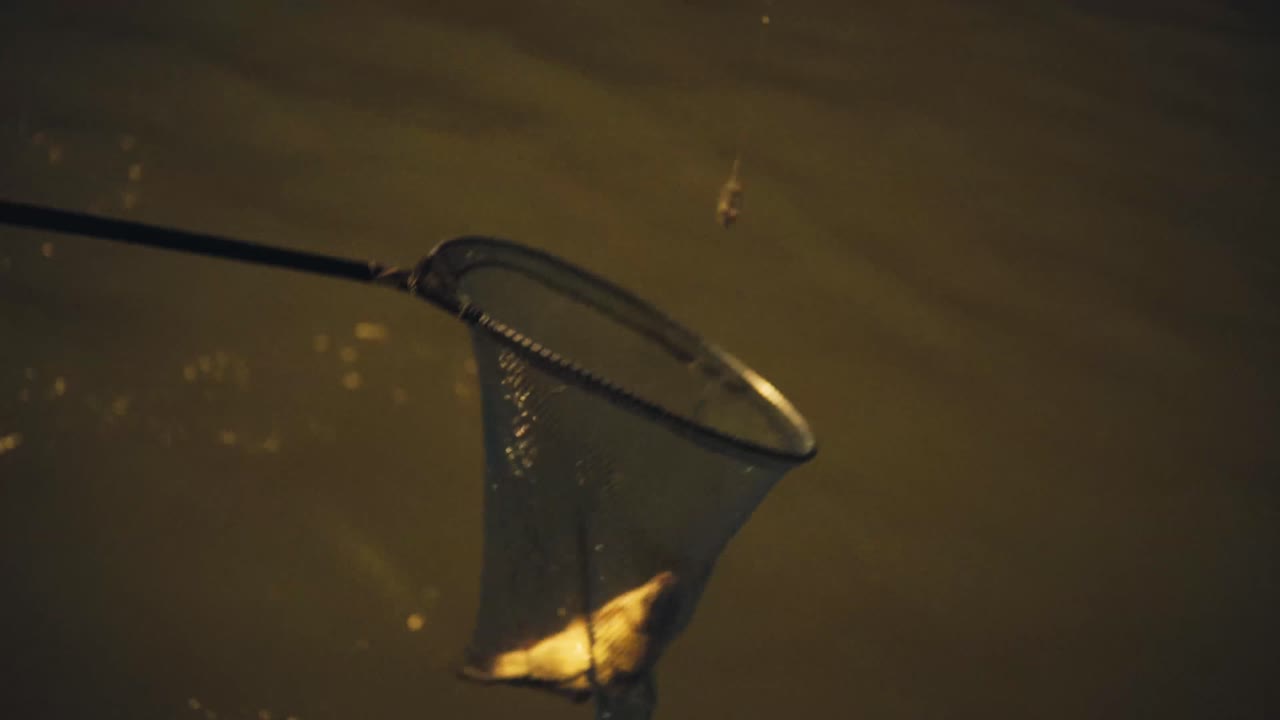 Fishing on a piere during night time.  Fish dragged out in a net