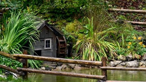 decorative pond with watermill, pond surrounded with flowers and gras, wooden fence built around, pan down