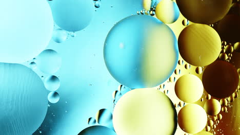 real close up oil bubbles in water rotation with color gradient abstract mixing background