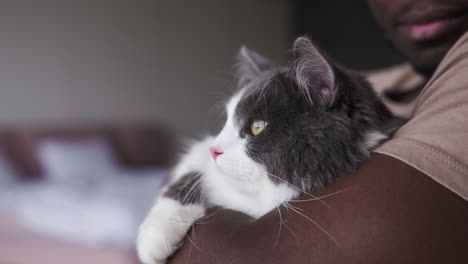 el dueño de la mascota con su gato