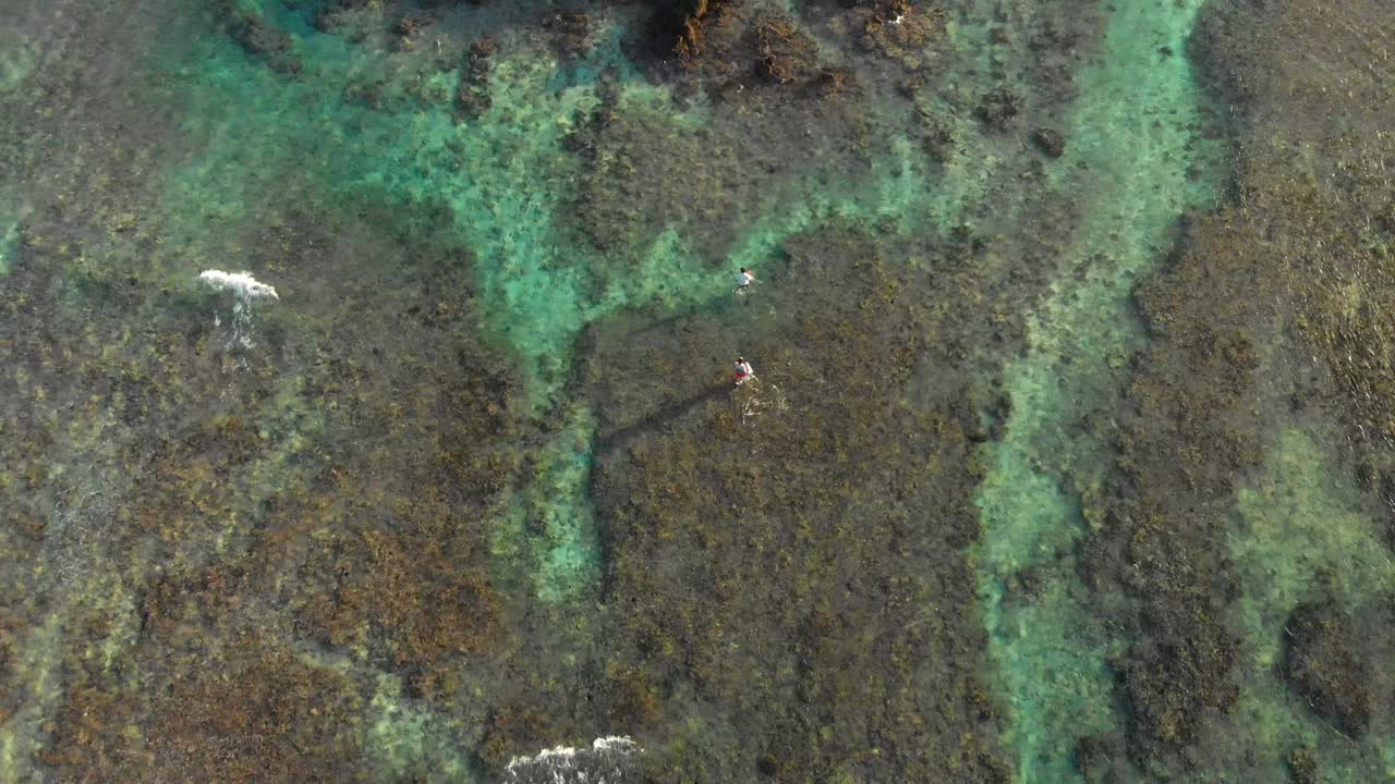 drone shot hermosa mauricio océano