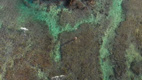 Drone-shot-beautiful-Mauritius-ocean