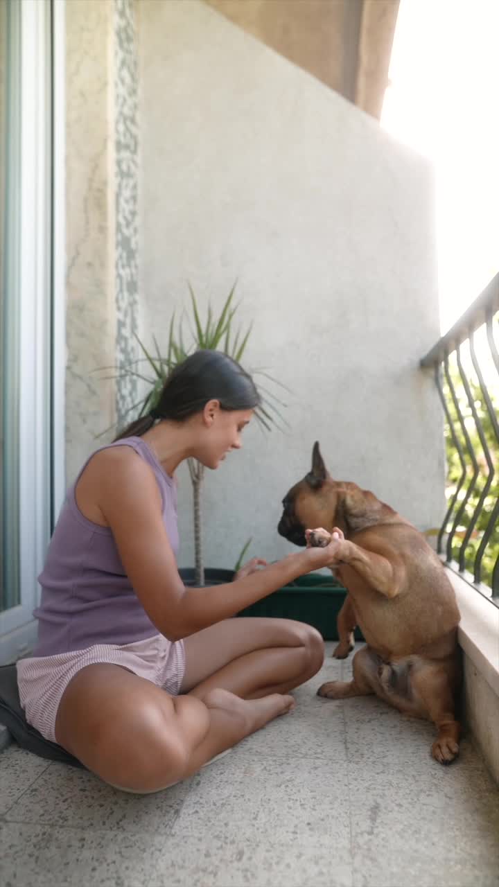 Woman playing with her French Bulldog on the balcony