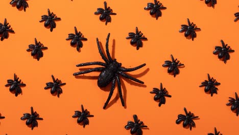 animation of spiders on orange background