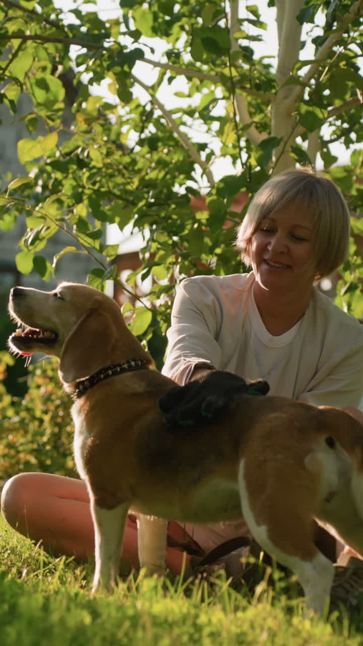 애완동물 애호가 가죽 장갑을 사용하여 잔디에서 따뜻한 미소로 개의 등을 마사지합니다. 개는 빛 아래 만족스럽게 보이고, 야외 설정은 초록색과 건물을 특징으로하는 흐릿한 배경으로 보입니다.