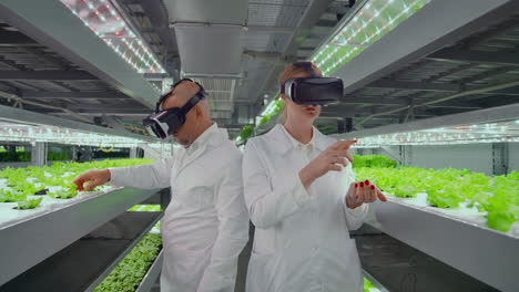 male and female white lab coats use virtual goggles to control the growth and development of plants and vegetables control irrigation systems and fertilizer temperature.