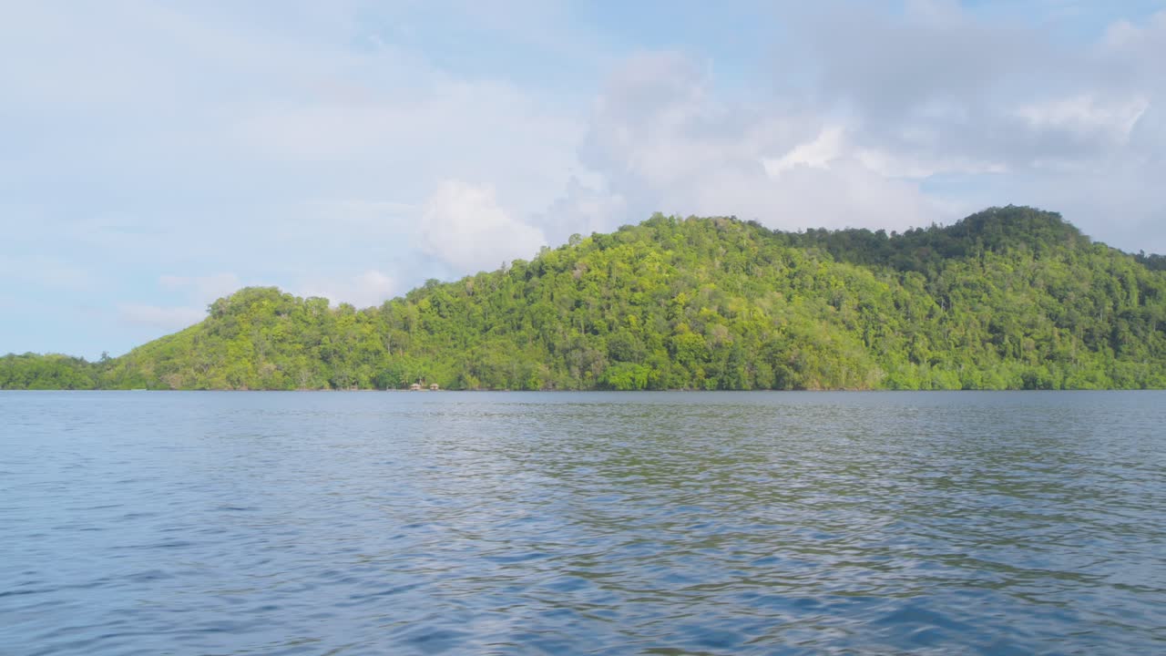 Lush Green Island Landscape with Calm Water
