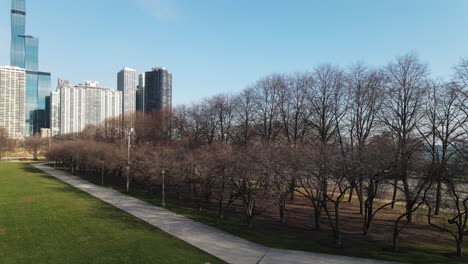 Blick-Auf-Die-Innenstadt-Von-Chicago,-Illinois,-Von-Der-Grant-Park-Antenne