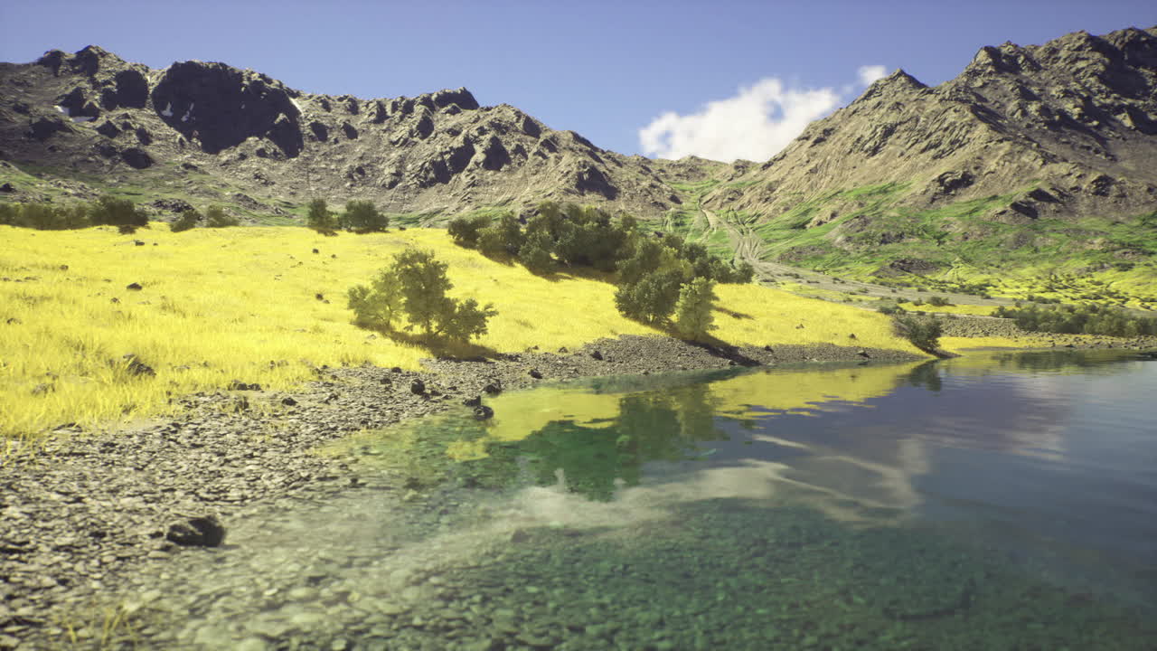 Calm environment showcasing lush greenery and tranquil waters