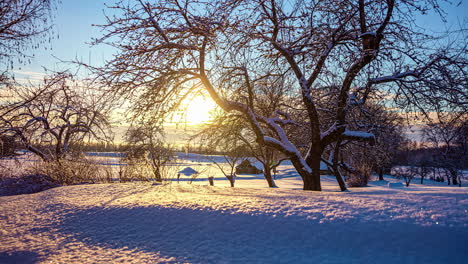 shades of first time sunlight melting snow timelapse