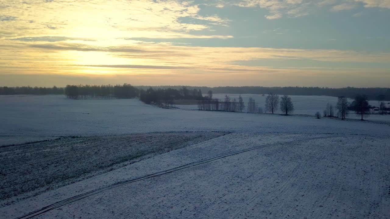 antena en movimiento hacia adelante sobre campos cubiertos de nieve con árboles desnudos durante la hora dorada
