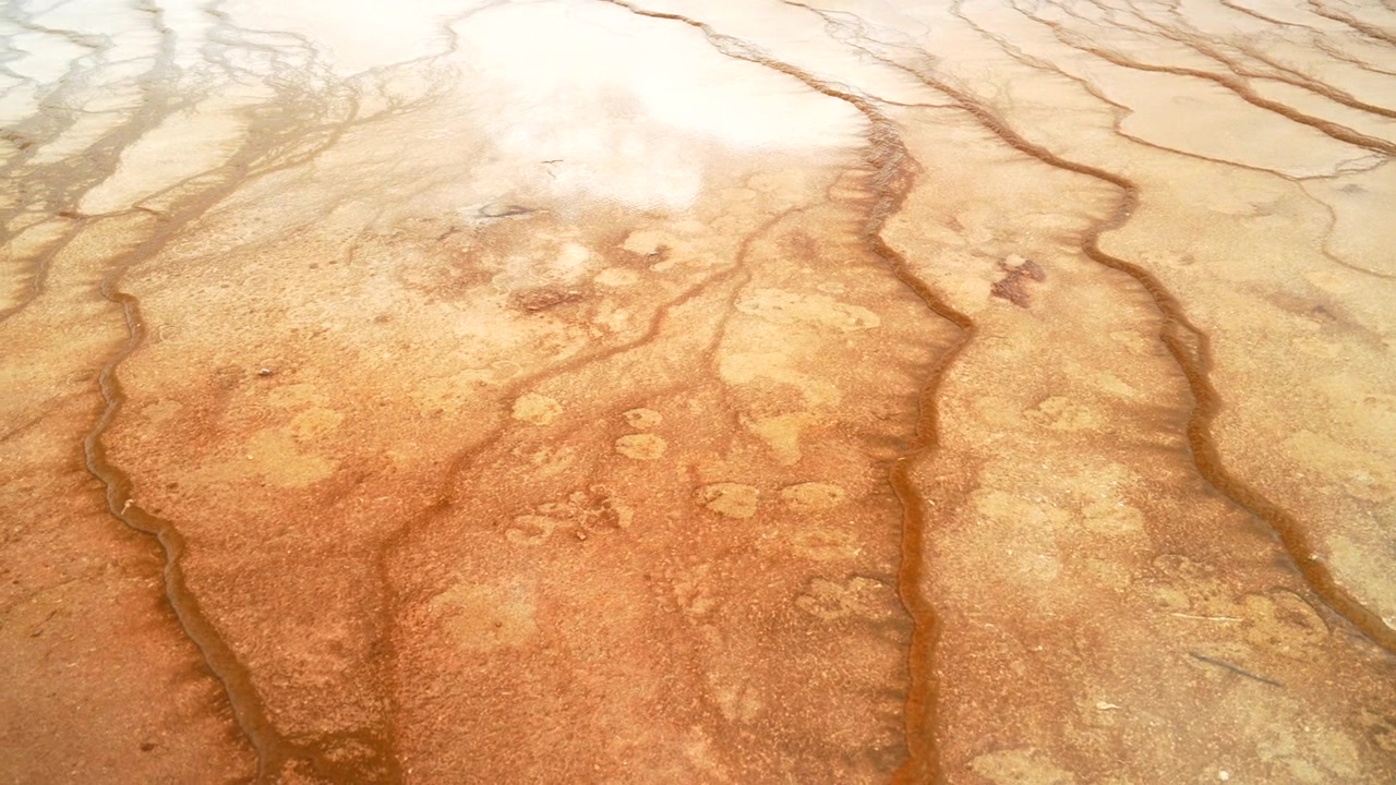 Primer plano de Grand Prismatic Spring, aguas termales, terrazas minerales, capas, Midway Boardwalk, sendero Fairy Falls, Mid Geyser Basin, Wyoming, EE. UU., Parque Nacional Yellowstone, paisaje natural, mañana soleada, paneo a la izquierda.