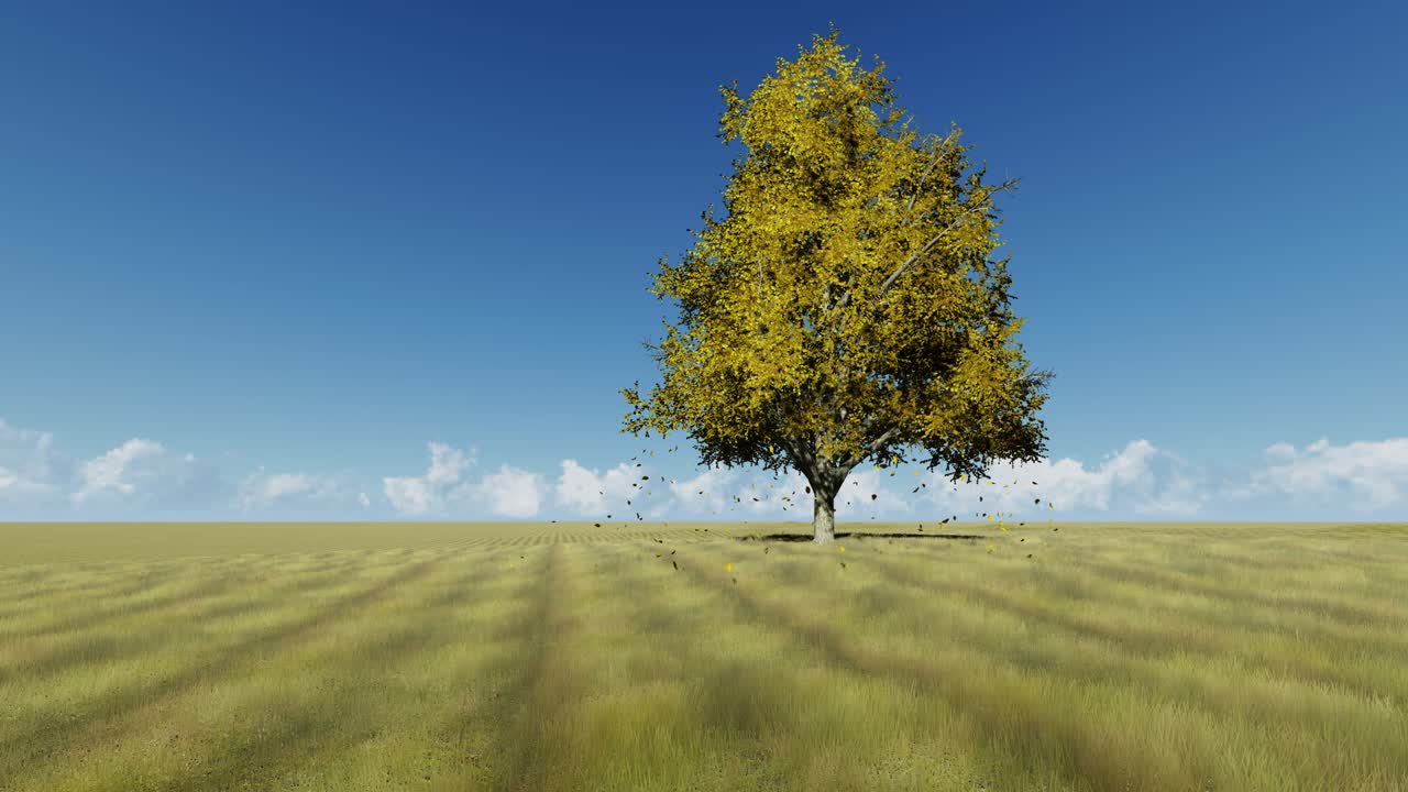 Lonely tree in field 3d realistic footage. Plant with falling leaves at grassland seamless animation. Autumn season concept. Fall nature at daytime landscape. Meadow and blue clear sky looped video