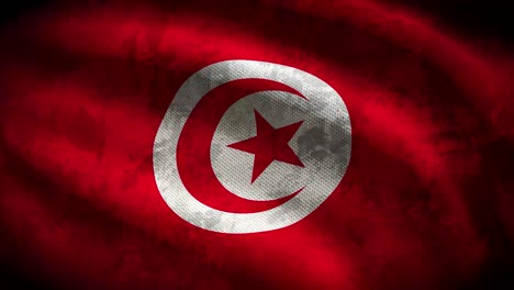 tunisia grunge flag - loop animation