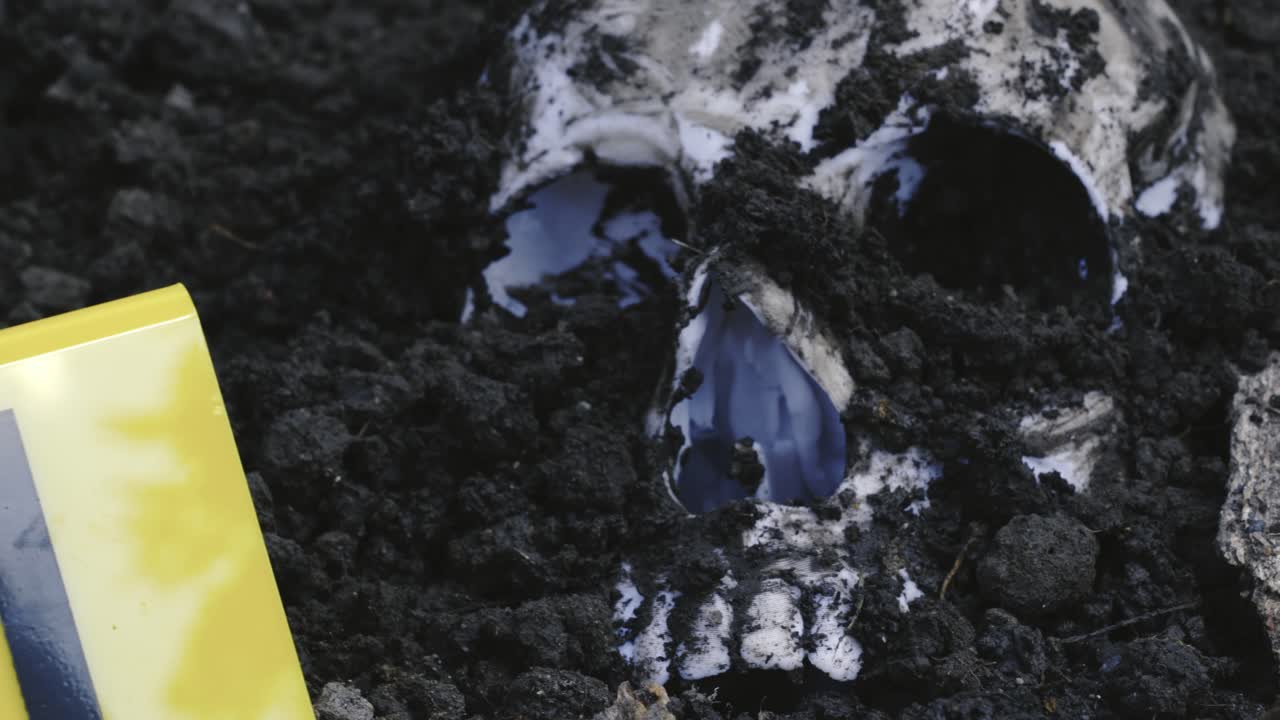 Police Crime scene evidence marker next to Human skull buried in soil SLIDE shot