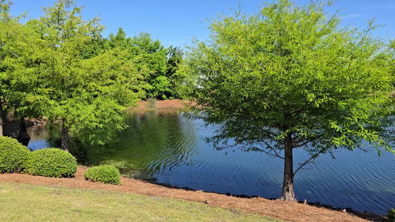Lovely day in a neighborhood park in Panama City, Florida, with blue sky and the sun shining down on the water, surrounded by trees and other greenery.