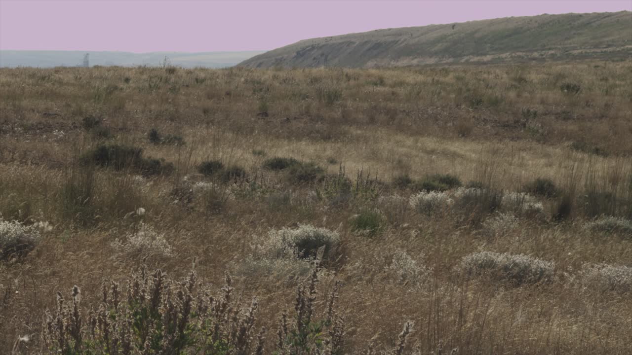 dry desert rocky grassland landscape.