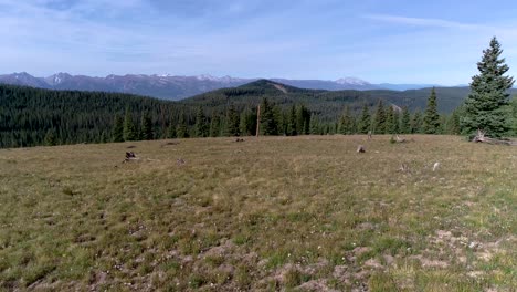 Ein-Bodennaher-Flug-Erhebt-Sich,-Um-Die-Wälder-Und-Gipfel-Der-Colorado-Rocky-Mountains-In-Der-Nähe-Der-Kontinentalscheide-Zu-Sehen