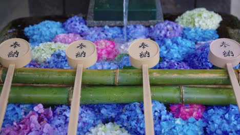 japanese temizu, purification water with ajisai (hydrangea) in summer 4k