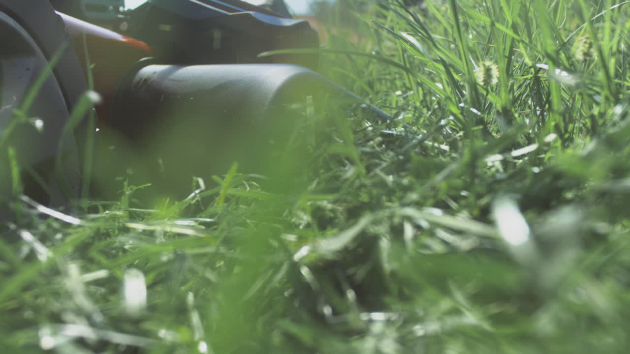 잔디를 잘라내는 잔디 기 기계