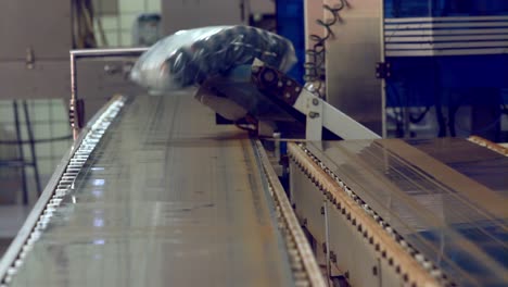 Bündel-Frisch-Verpackter-Kaffeebohnen,-Die-In-Der-Fabrik-Vom-Förderband-Rollen