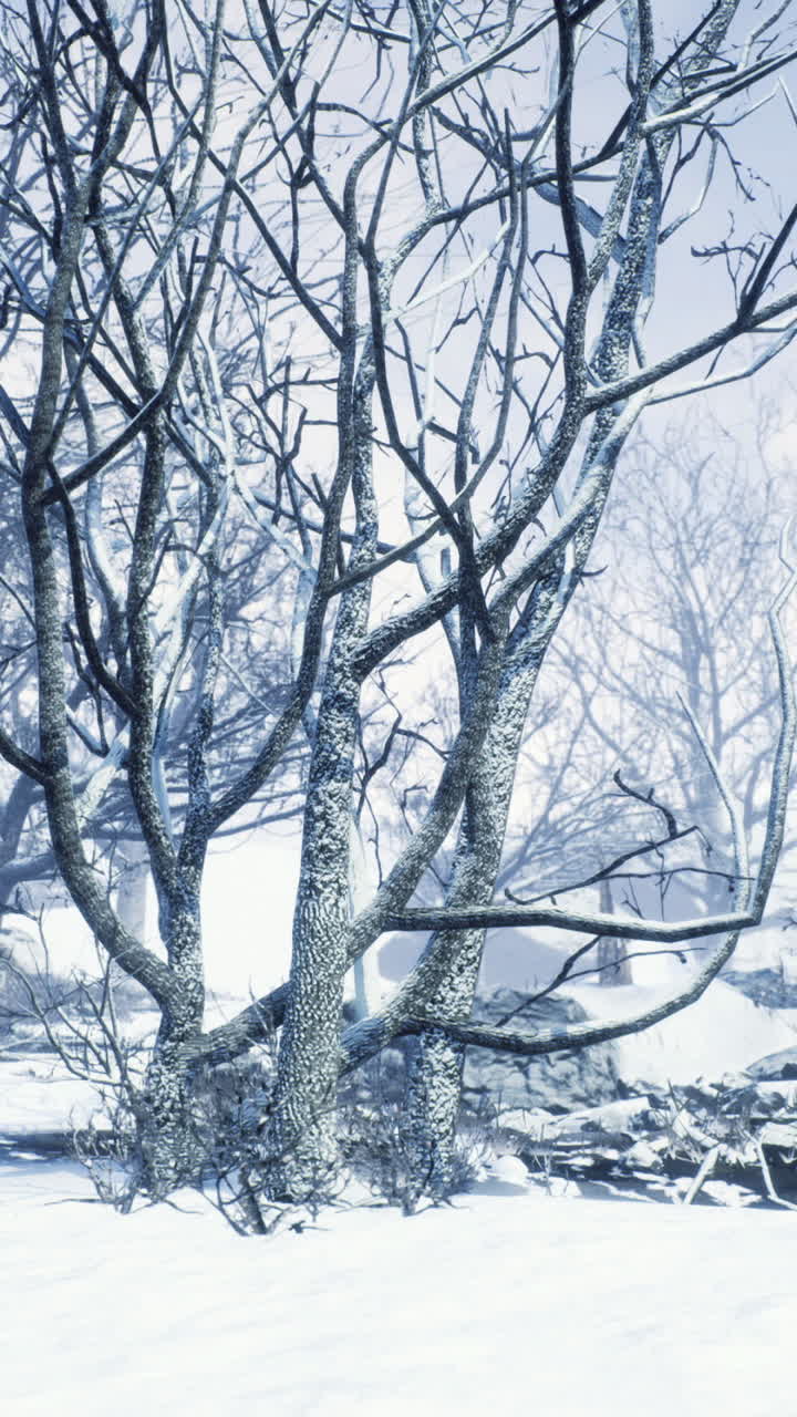 Fredelig vinterlandsby med isete grener og snødekt bakgrunn