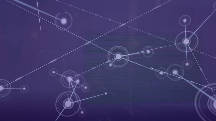 Animation of network of connections over rectangle shapes